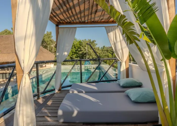 Mayan Monkey - Social (adults Only) Auberge de jeunesse *