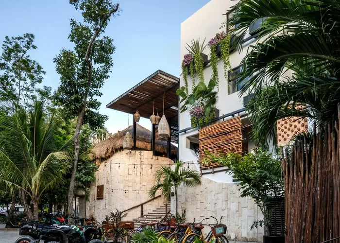 Mayan Monkey - Social (adults Only) *