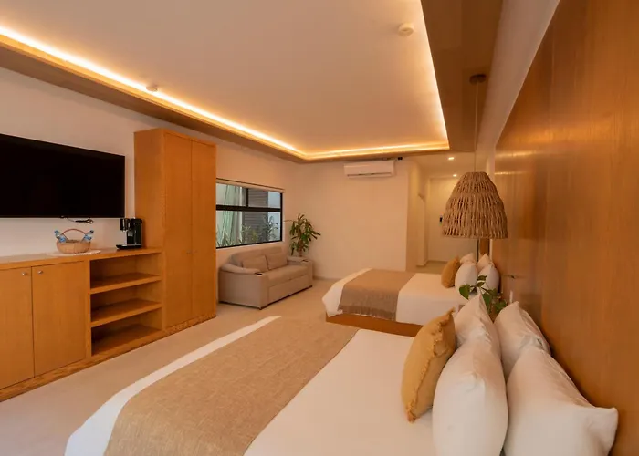 Mayan Monkey - Social (adults Only) Auberge de jeunesse