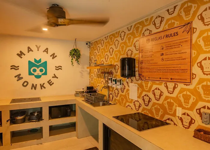 Mayan Monkey - Social (adults Only)