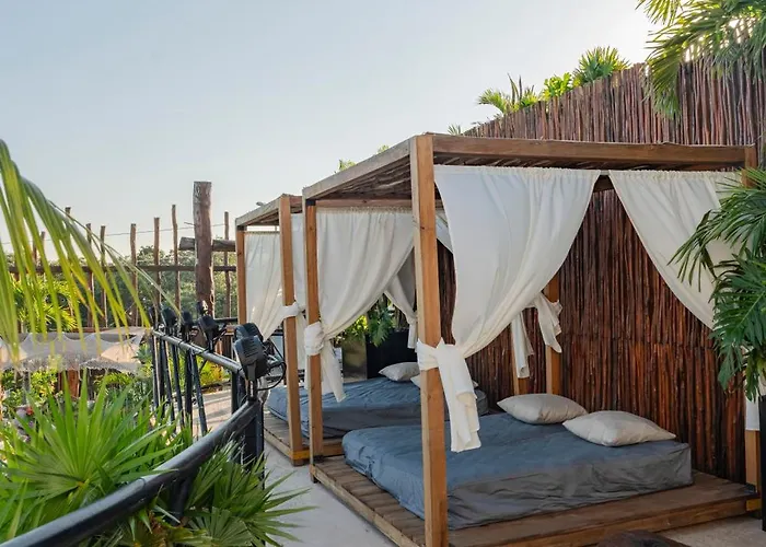 Mayan Monkey - Social (adults Only) Auberge de jeunesse *