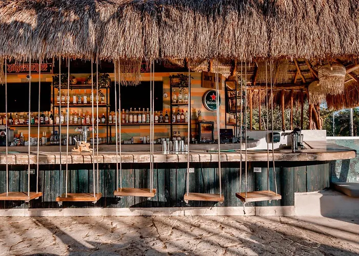 Mayan Monkey - Social (adults Only) Auberge de jeunesse