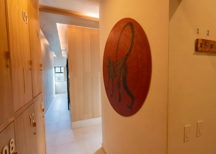 Auberge de jeunesse Mayan Monkey - Social (adults Only)