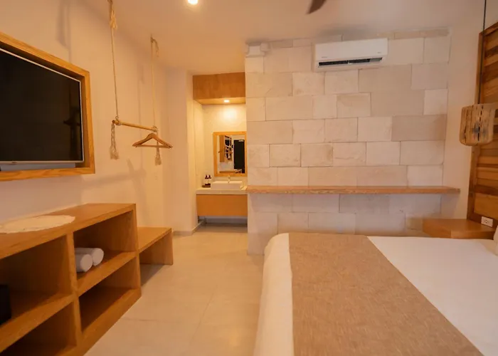 Mayan Monkey - Social (adults Only) Auberge de jeunesse