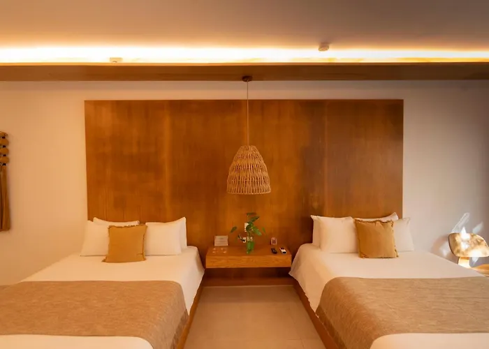 Auberge de jeunesse Mayan Monkey - Social (adults Only) *