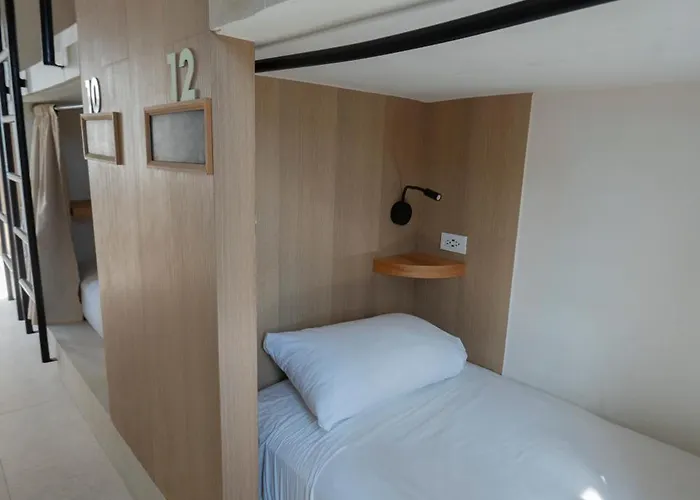 Mayan Monkey - Social (adults Only) Auberge de jeunesse